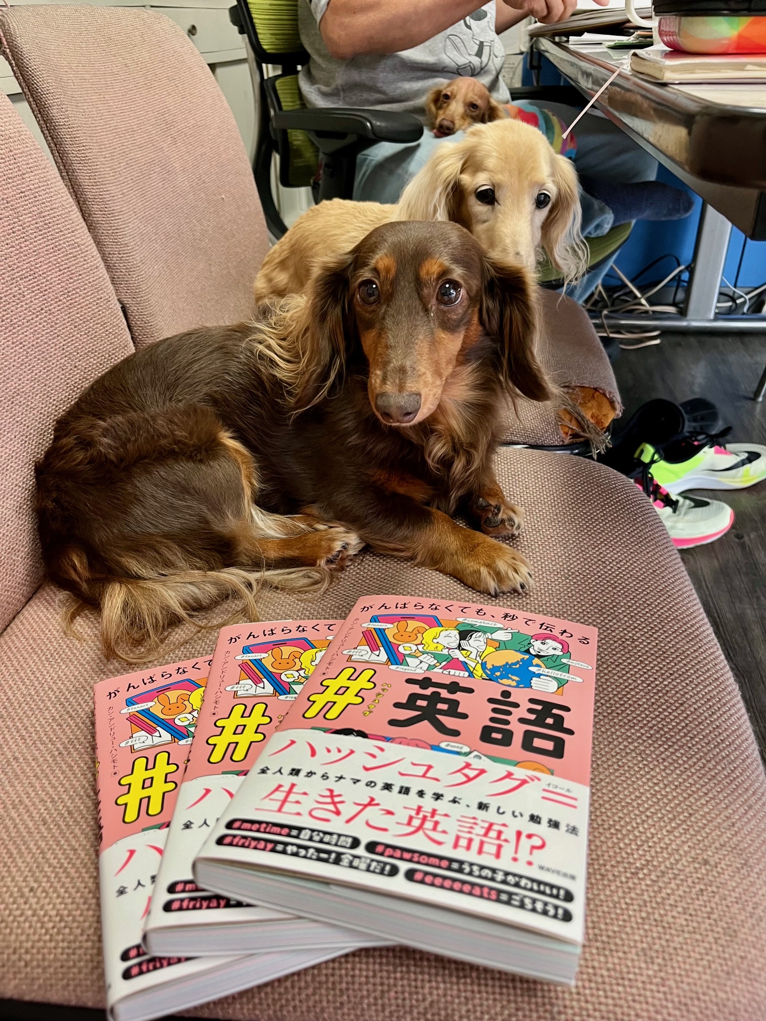Ann&Mocha